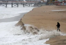 Cuál es el motivo por el que el agua del mar se retira antes de que ocurra un tsunami